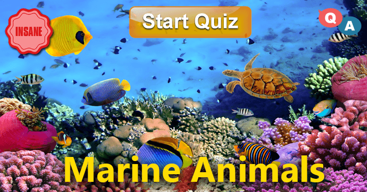 10 Questions about Marine Animals! LEVEL- INSANE