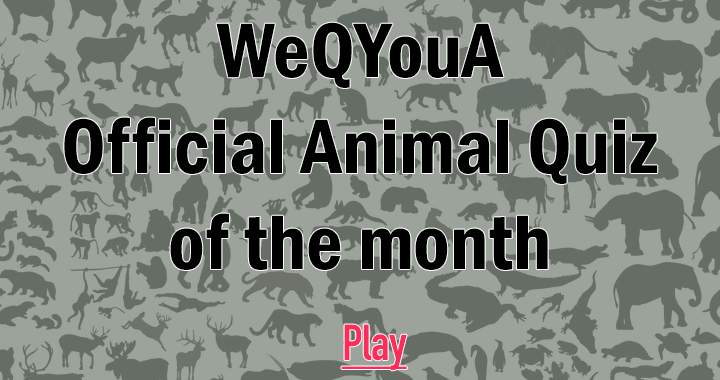 Animal Quiz of the month