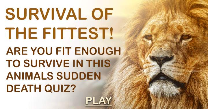 Animal Sudden Death Quiz