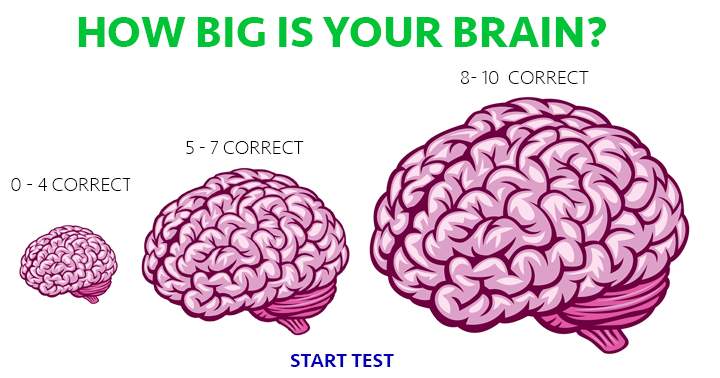 How big is your brain?