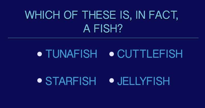 A quiz about Fish! 