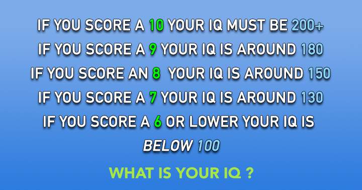 IQ Test