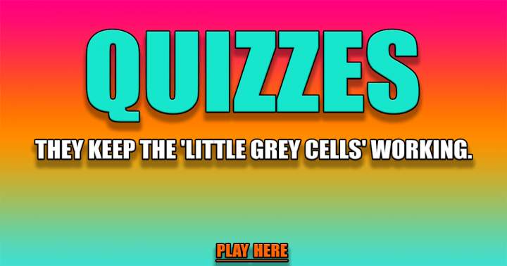 Play Our Quizzes