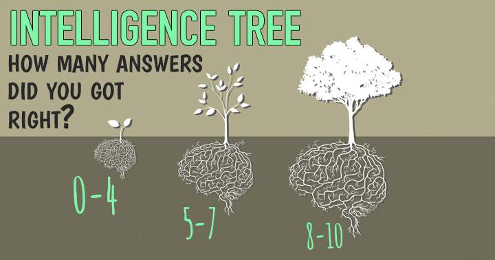 Take the General Knowledge Quiz to measure the vastness of your intelligence.