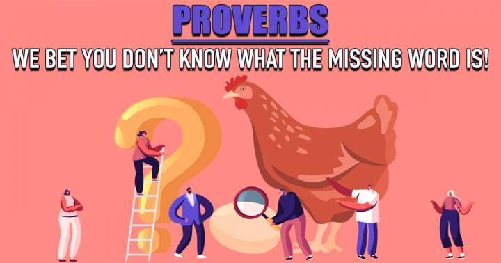 Quiz on Proverbs.