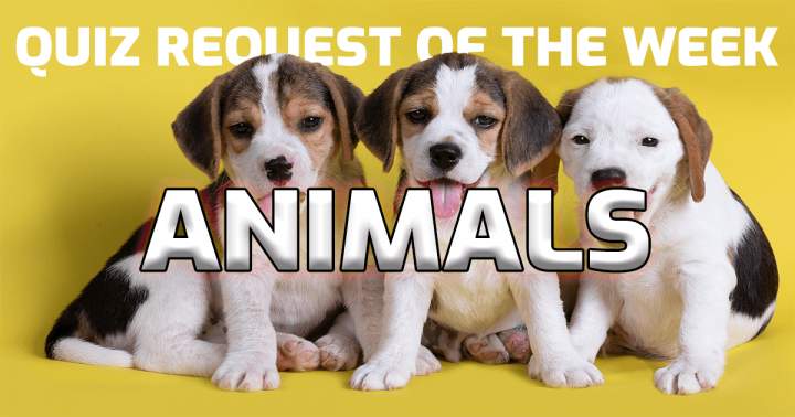 The animal quiz is this week's requested topic.