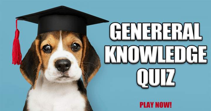 Quiz on General Knowledge