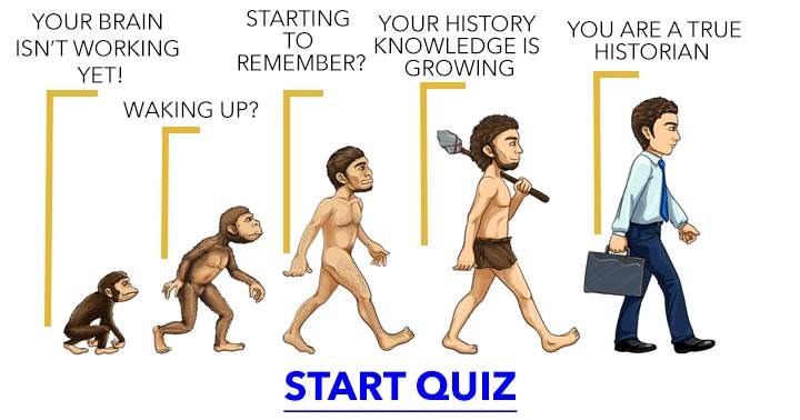 Can your brain excel in this History quiz?