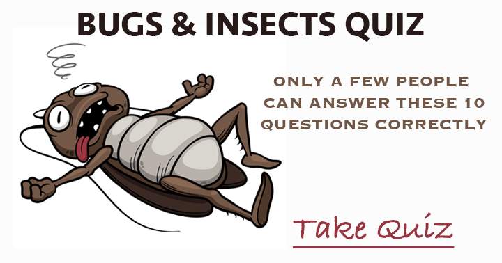 Only a handful of individuals can correctly respond to these 10 questions about Bugs & Insects.