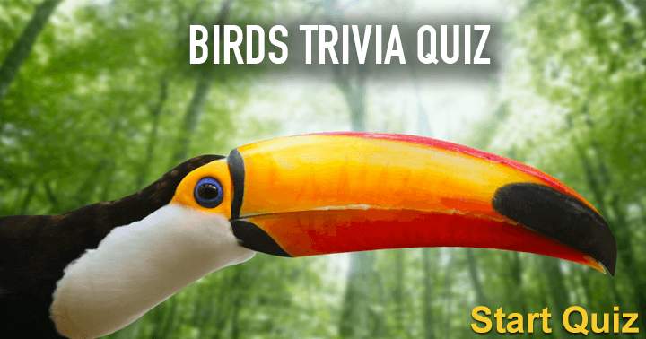 Can you achieve a minimum of 5 correct answers in the Birds Trivia Quiz?