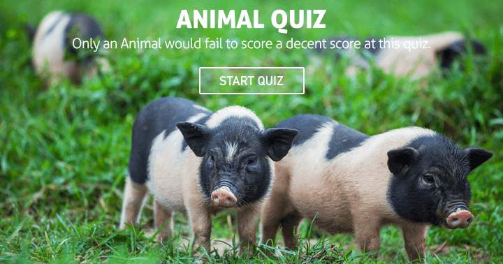 Failing to score a decent score at this animal quiz is something only an Animal would do.