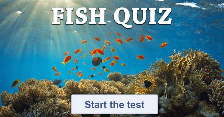 'The Quiz about Fish!'