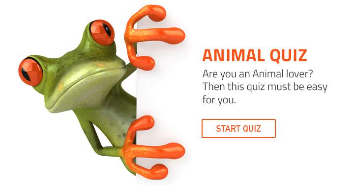 A trivia quiz designed for those who adore animals.