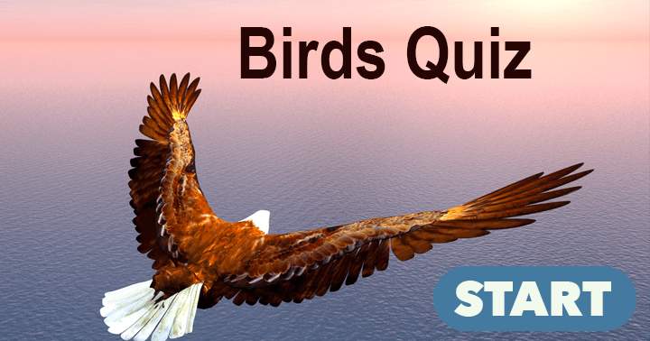 'Birds Quiz that Puts Your Knowledge to the Test'