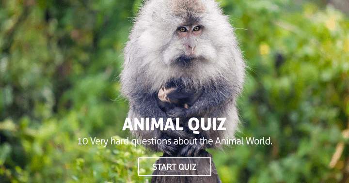 The animal world presents 10 extremely challenging questions.