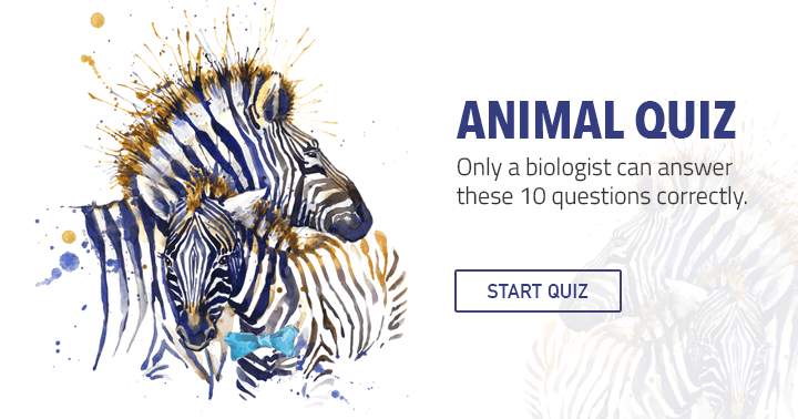 Can you respond to these 10 challenging questions on The Animal Kingdom?