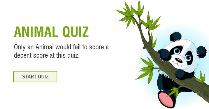 Failing to score a decent score at this animal trivia quiz is something only a donkey would do.