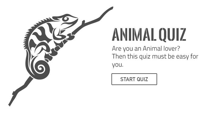 If you truly adore animals, prove it by tackling this enjoyable yet challenging quiz.