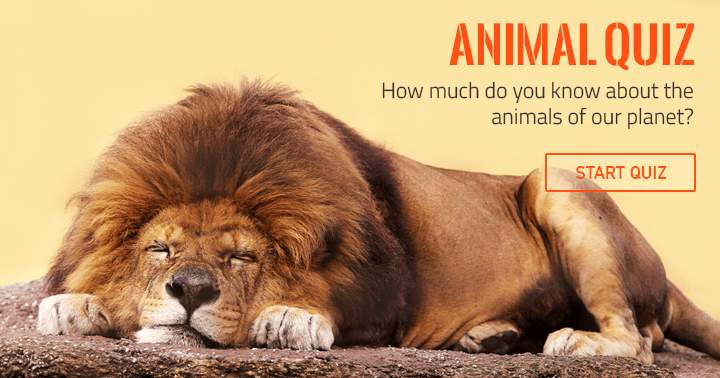 What is your knowledge level regarding animals?