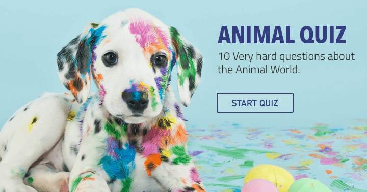 Complete these 10 questions regarding animals.