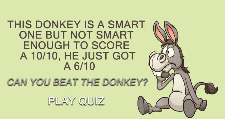 Quiz on General Knowledge