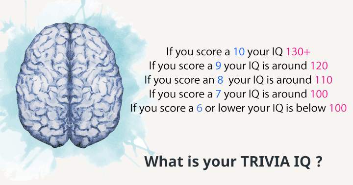 Now is the time to test your Trivia IQ!