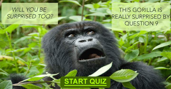 Quiz about animals.