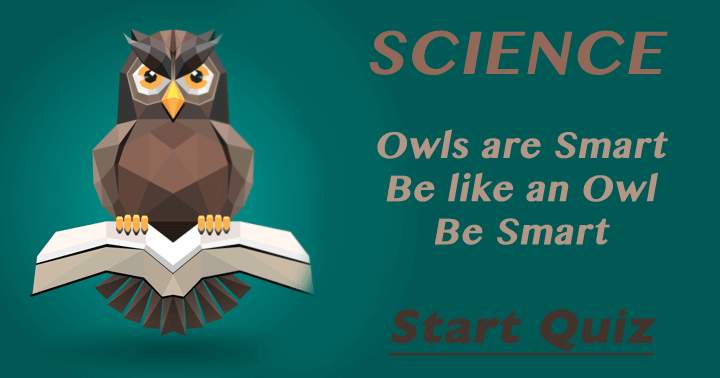 Are you able to match the intelligence of an owl?