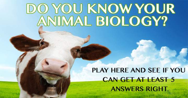 Are you familiar with animal biology?