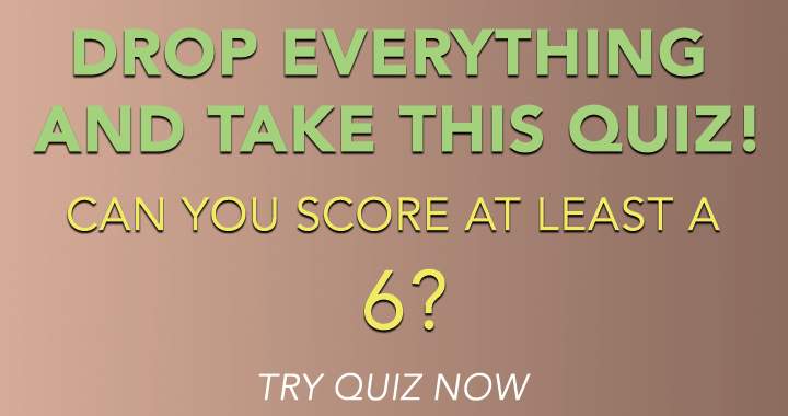 Stop what you're doing and complete this quiz!