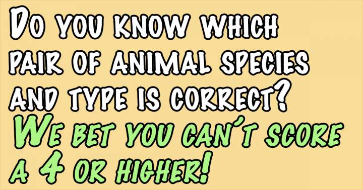 Quiz on Animals