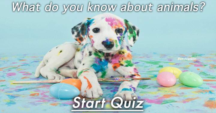 Quiz on Animals