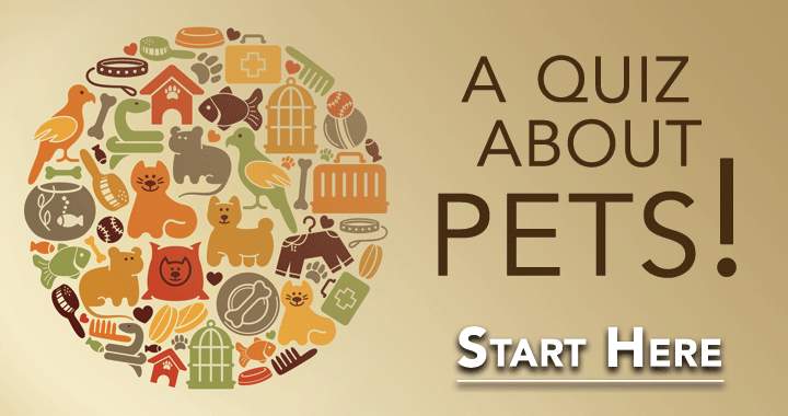 Test Your Knowledge on Pets!