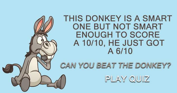 Banner for Do you possess more intelligence than a donkey?