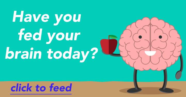 Have you fed your brain today