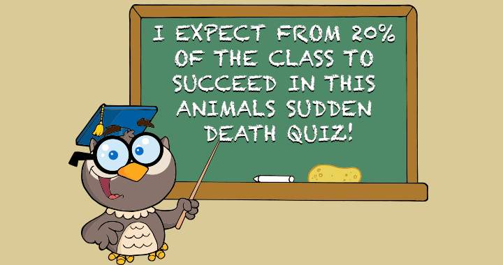 So, will you succeed in answering all 15 questions to perfection?