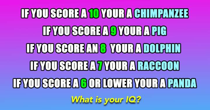 What is your Trivia Animal?