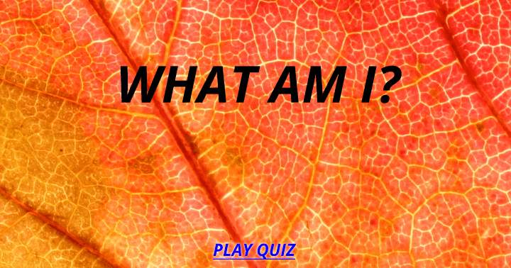 Who am I quiz