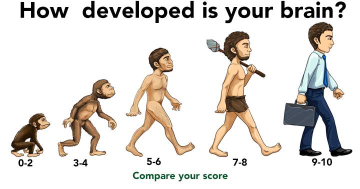 How developed is your brain?