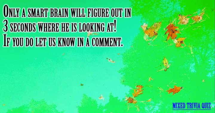 Do you have a smart brain?