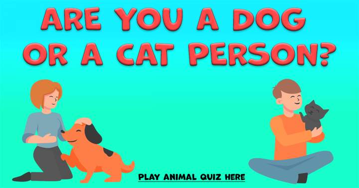 Animal Quiz