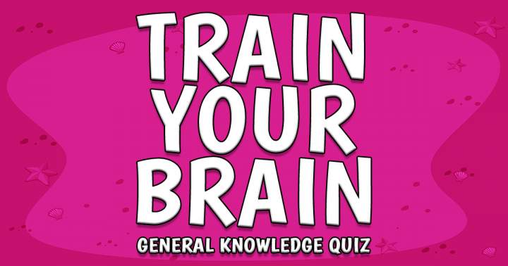 Banner for Trivia Brain Trainer