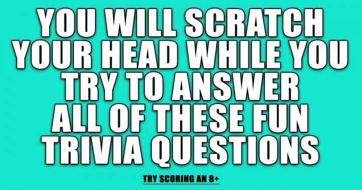 Fun Trivia Questions