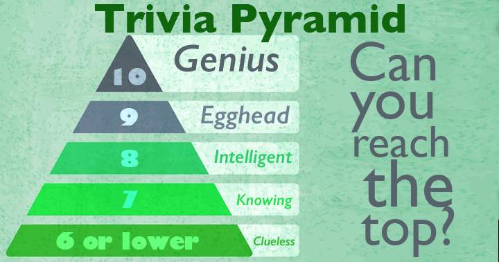 How high can you climb the pyramid of knowledge? Share your Score