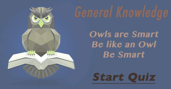 Are you as smart as an Owl