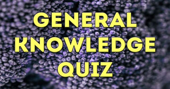 General Knowledge Quiz