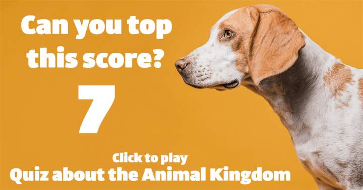 Quiz about the Animal Kingdom