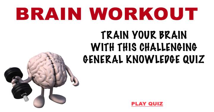 Brain Workout