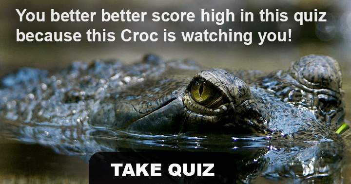 Do you like animals? Then this is the right quiz for you.