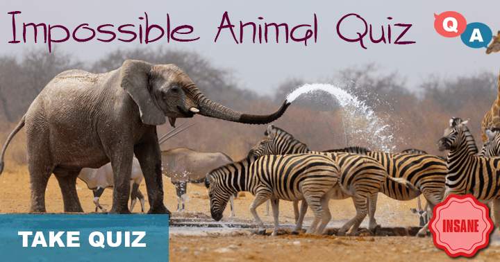 Can you score a 4/10 on this impossible animal quiz?